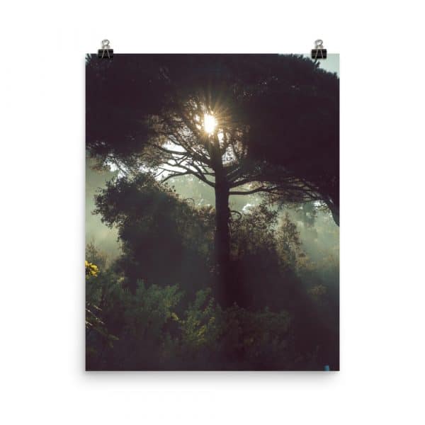 premium luster photo paper poster in 16x20 transparent 619a6b3bf30af