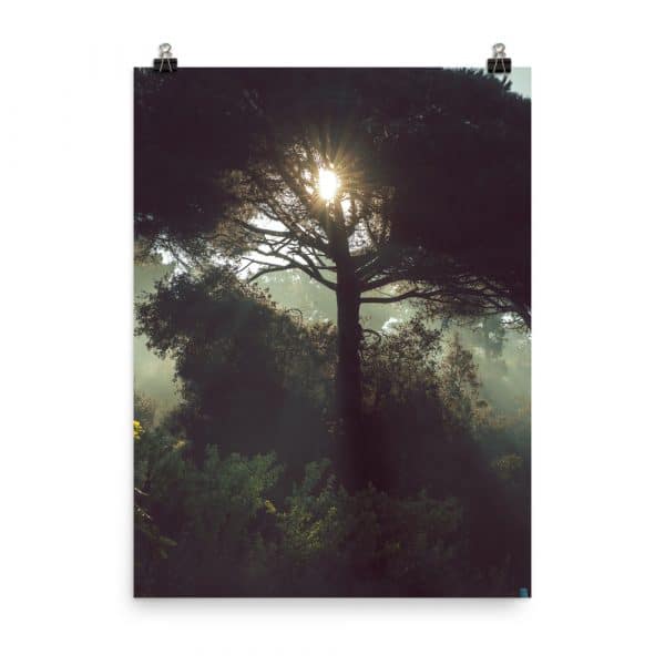 premium luster photo paper poster in 18x24 transparent 619a6b3bf313d