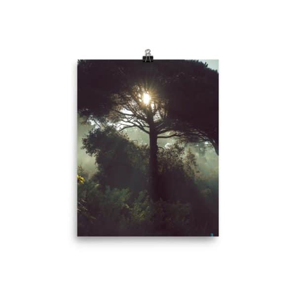 premium luster photo paper poster in 8x10 transparent 619a6b3bf3245